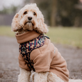 Load image into Gallery viewer, Dog Fleece┃Biscuit Brown