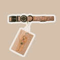 Load image into Gallery viewer, Dog Collar┃Vanilla Latte
