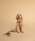 Load image into Gallery viewer, Dog Lead┃Tangerine Sun
