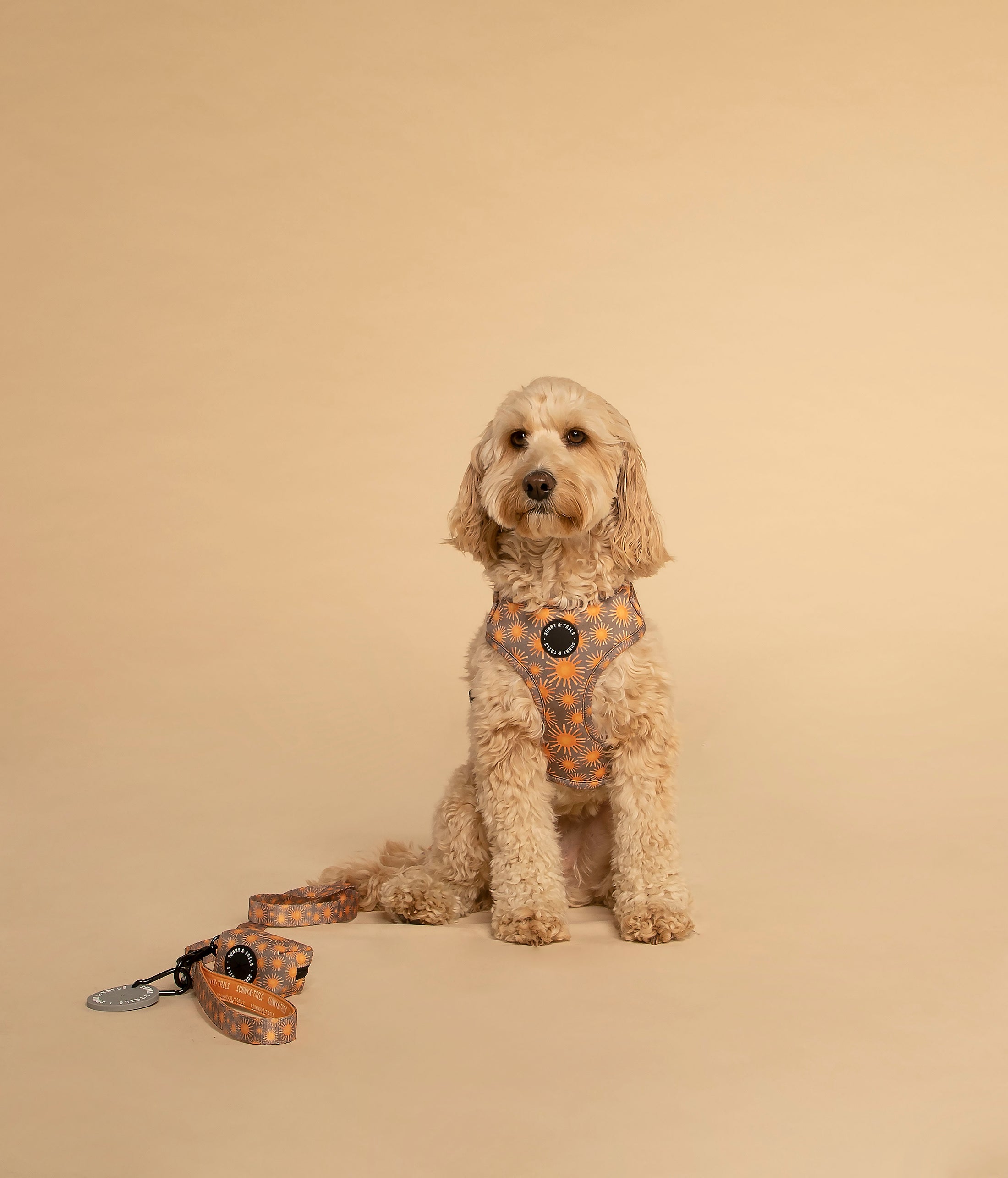 Dog Lead┃Tangerine Sun