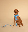 Load image into Gallery viewer, Adjustable Dog Harness┃Blue Tropicana

