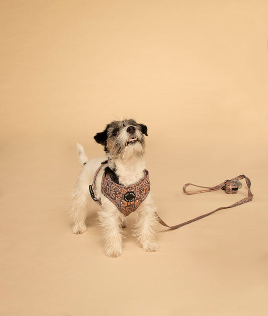 Adjustable Dog Harness┃Vanilla Latte
