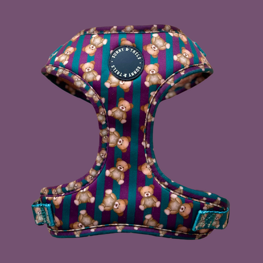 Adjustable Dog Harness┃       Jolly Teddy