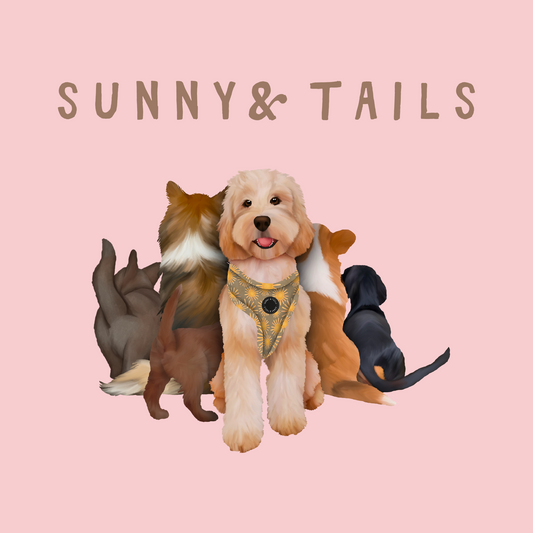 Sunny&tails Poklon Kartica