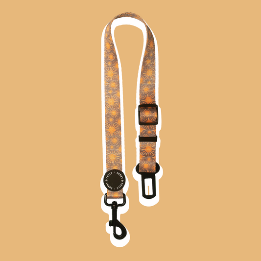 Car Seat Belt┃Tangerine Sun