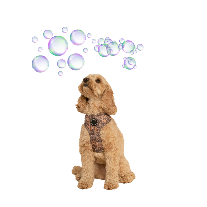 Sunny&tails: Premium Dog Walking Accessories&Cute Pet Gear
