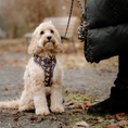 Load image into Gallery viewer, Poop Bag Holder┃Jolly Teddy
