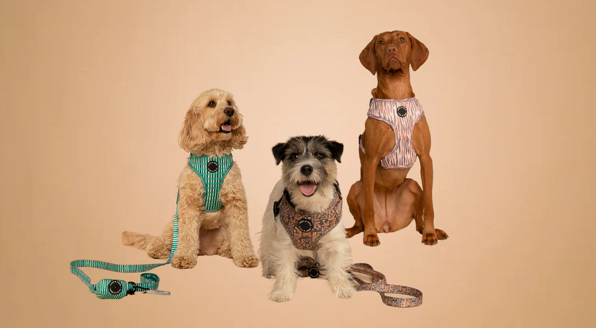 Sunny&tails: Premium Dog Walking Accessories&Cute Pet Gear