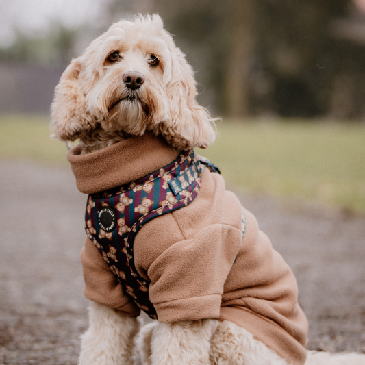 Dog Fleece┃Biscuit Brown