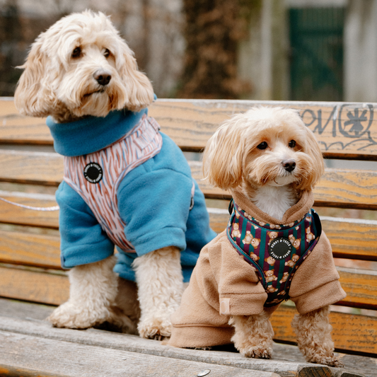 Dog Fleece┃Candy Blue