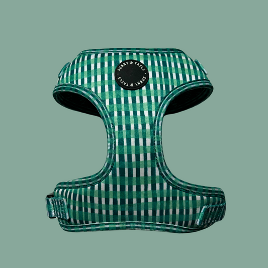 Adjustable Dog Harness┃Little Jungle