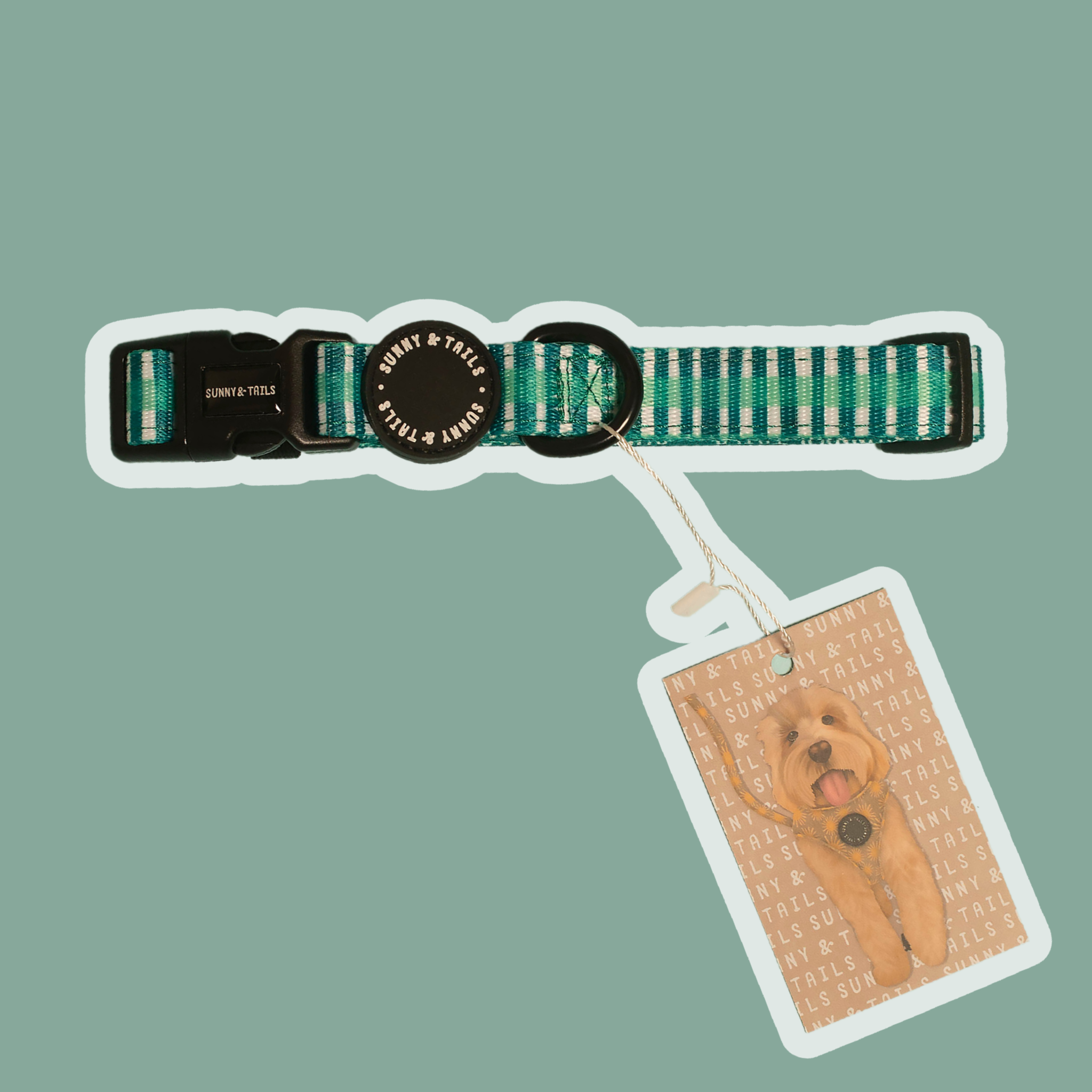 Dog Collar┃Little Jungle