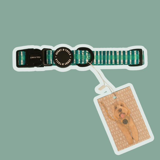 Dog Collar┃Little Jungle