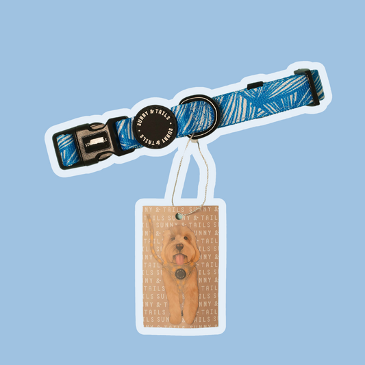 Dog Collar┃Blue Tropicana