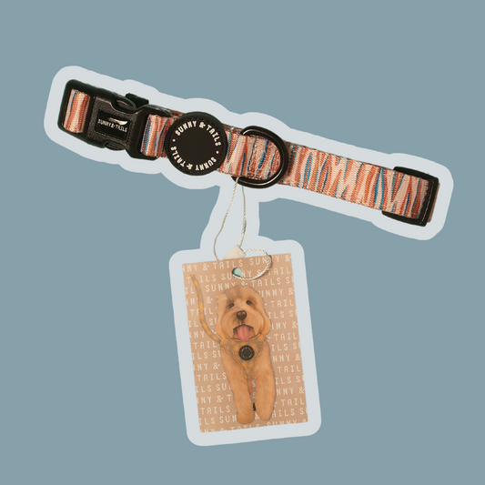 Dog Collar┃Sunday Stripes