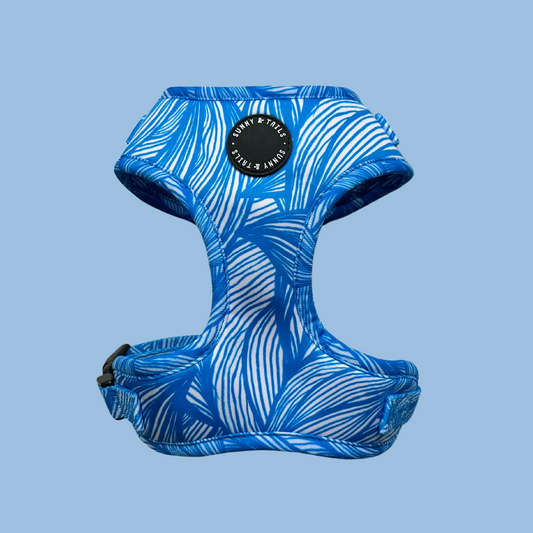 Adjustable Dog Harness┃Blue Tropicana