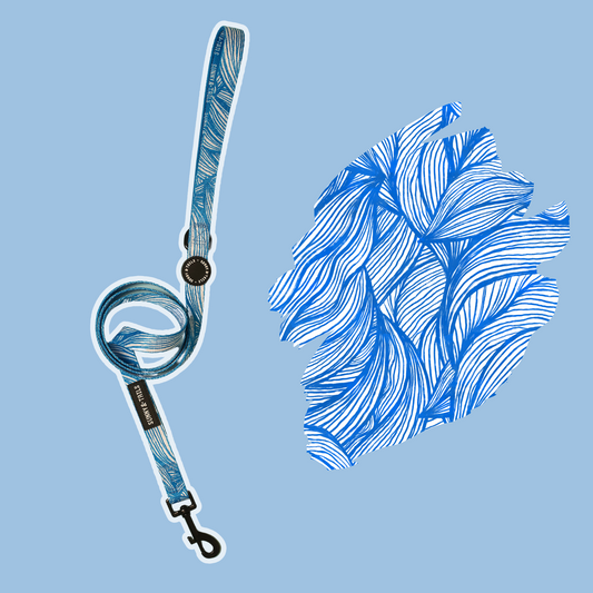 Povodac za psa┃Blue Tropicana
