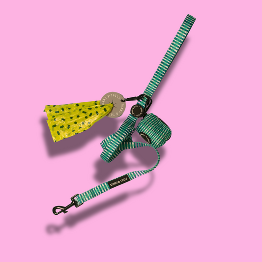 Waste Bag Carrier┃Grey colour